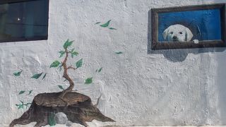 坂道けっこうきついです（汗）