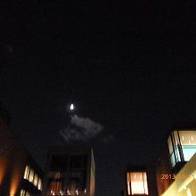夜、美術館を出たところの月が美しかったです