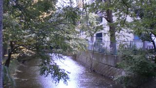 札幌市街地を流れる小川