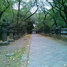 石灯籠の並ぶ参道です。