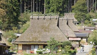 次は冬に訪れたいが　コスモス　紅葉時もいいかも