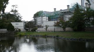 まだまだ工事中　でも池に鴨がきてました