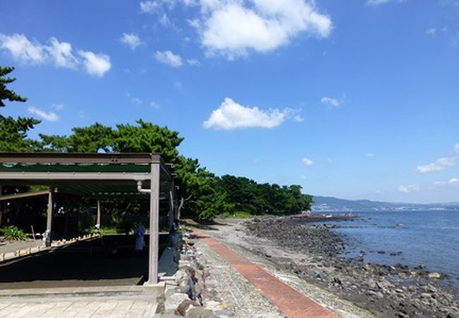 別府海浜砂湯 クチコミ アクセス 営業時間 別府温泉 フォートラベル 別府海浜砂湯 クチコミ アクセス 営業時間 別府温泉 フォートラベル
