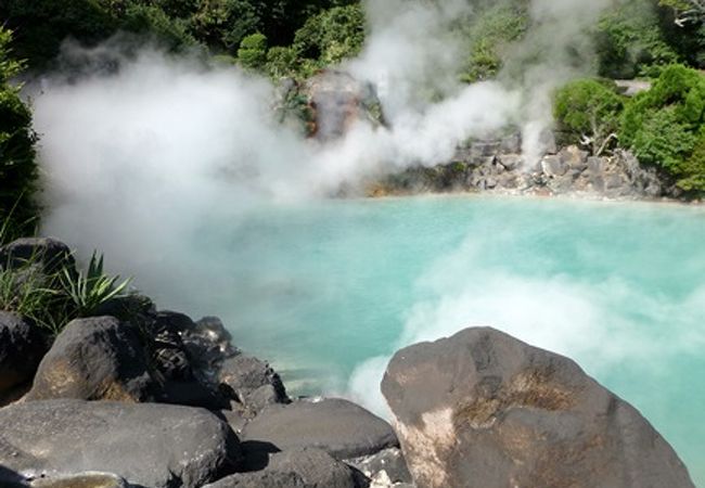 美しさと力強さ