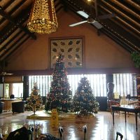 クリスマスの時期に行きました。