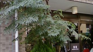 コーヒーへの熱さを感じます。