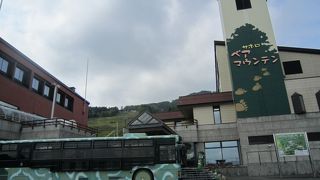 野生に近い状態でヒグマを見ることができます。