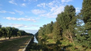 川面に映える並木がきれい