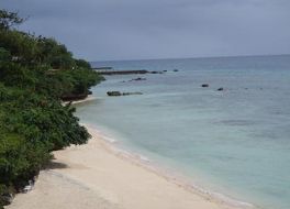 Alegre Beach Resort & Spa 写真