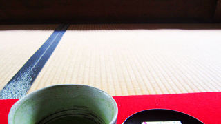 お茶をいただきながらゆっくり楽しむお庭。