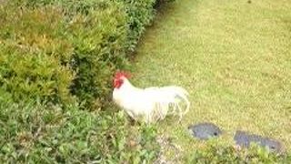 博物館は必見です