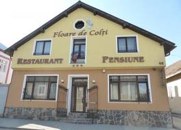 Pension Floare de Colti