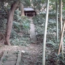 竹薮、石段足元は笹。足元悪し