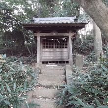 これが熊野権現さん・社殿だぁ！