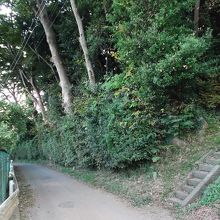 この右が入口(参道)