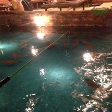 釣り堀のある居酒屋 By みかん ゴロゴロブログ ざうお 難波本店のクチコミ フォートラベル