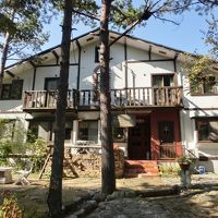 カントリー・イン　おもちゃ箱 写真