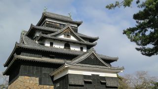 緑に囲まれた城