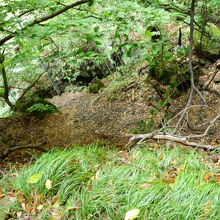 道なき道・・・