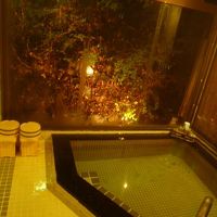 じゃんじゃん掛け流し