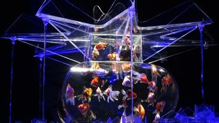 アートアクアリウム