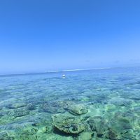 どこまでも透き通る海が水平線と溶け込んでいます。