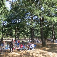 バーベキュー広場