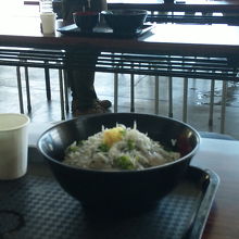 しらすどん、うまかった