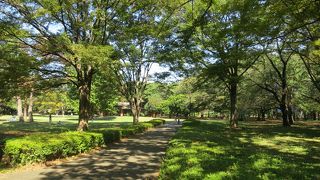 調布市・小金井市・三鷹市にまたがる自然豊かな公園