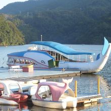 お約束の遊覧船