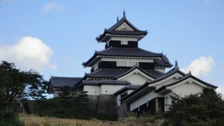 あと２年の辛抱だそうです。