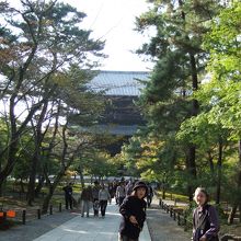 とても大きくて立派です。