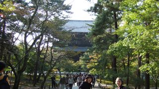 京都出身の同期から勧められました。