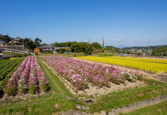 俯瞰で