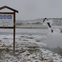 １号線脇に出ている牛の形の看板が目印です。