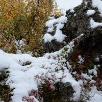 宿泊棟の窓からは、ロック・ガーデン風の火山岩台地の風景が。