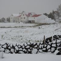受付棟内の食堂から見た周辺の農場。この時は９月でも雪景色。