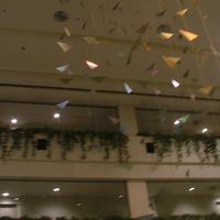 中はこんな感じ