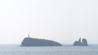 “鯛”と言うよりどちらかと言えば“鯨”