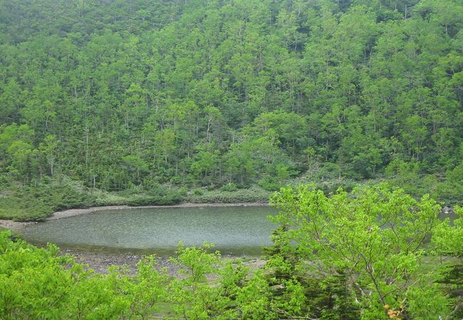 天気がよければ初心者でも歩ける道です