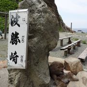 野猿と海