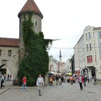 中央奥右手の建物