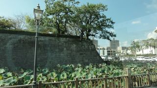 平地にある城跡