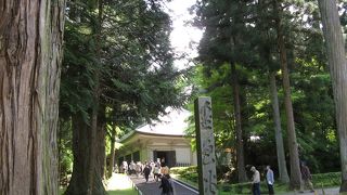 ガラス越しに見ます