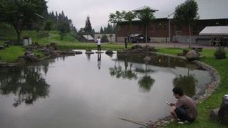 秋山郷  萌木の里