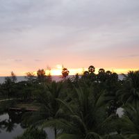 夕陽がきれいです。