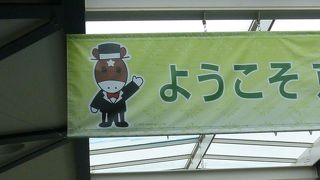 菊花賞　コイィーーー！