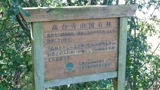 京都市街地が一望！