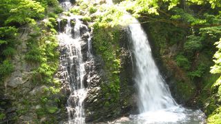 散策するのにとても良いところ