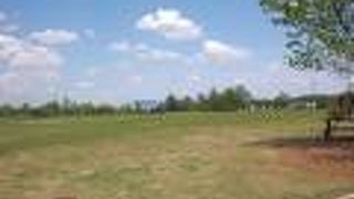 オーガスタ マリオット アット ザ コンベンション センター